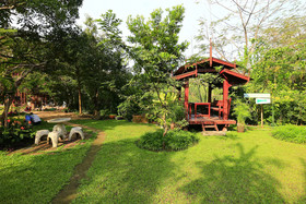 Leafy Greens Clay House
