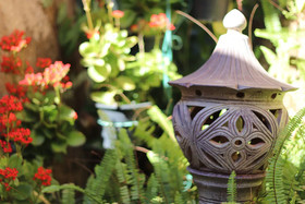 Leafy Greens Clay House