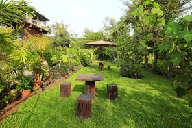 Leafy Greens Clay House