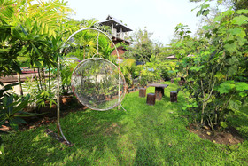 Leafy Greens Clay House