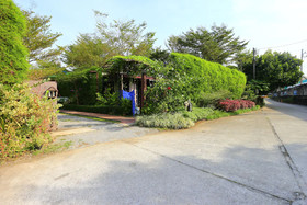 Leafy Greens Clay House