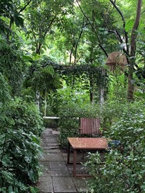 Le Cochet De Nimman
