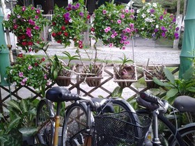Like Home