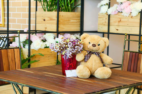 Little Bear's Home