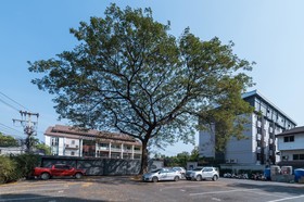 Lnimman Chiangmai Boutique Hotel