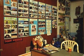 M.D. House