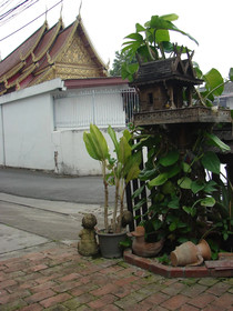 Manee Cool Mueang