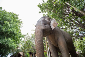 Monfai Culture House