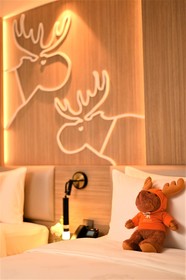 Moose Hotel Nimman