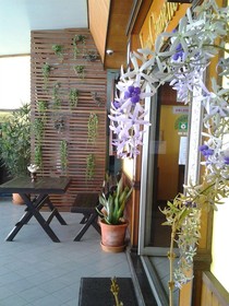 Nonni Guesthouse