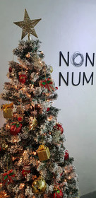 Non Num Poshtel