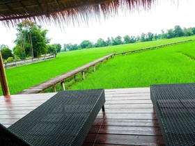 Palm Spa Village