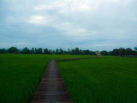 Palm Spa Village