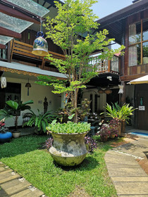 Pao Come Boutique House