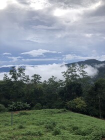 Phuchifaresort