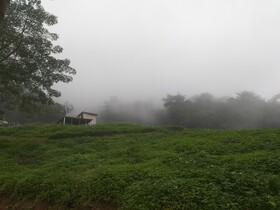Phuchifaresort