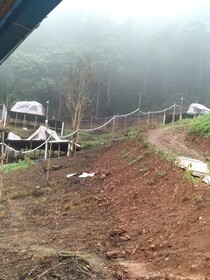 Phuchifaresort