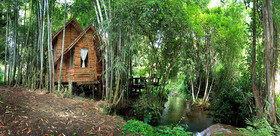 Rabeang Pasak Chiangmai Treehouse Resort