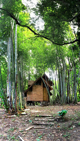 Rabeang Pasak Chiangmai Treehouse Resort