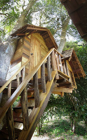 Rabeang Pasak Chiangmai Treehouse Resort