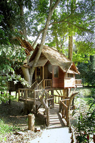 Rabeang Pasak Chiangmai Treehouse Resort