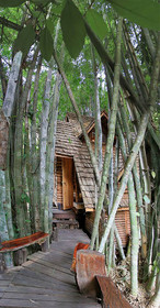 Rabeang Pasak Chiangmai Treehouse Resort