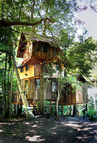 Rabeang Pasak Chiangmai Treehouse Resort
