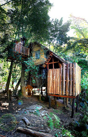 Rabeang Pasak Chiangmai Treehouse Resort