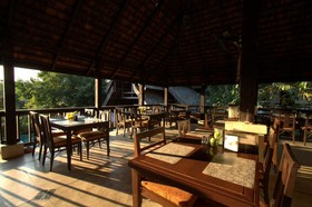 Rainforest Boutique Hotel