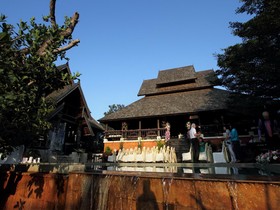 Rainforest Boutique Hotel