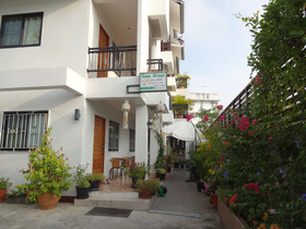 Rena House Chiang Mai