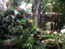 Rose Guest House