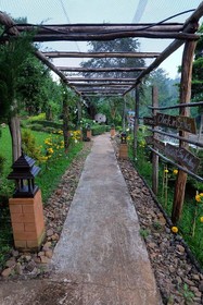 Sai Nam Wang Resort