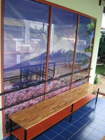 Sakura House