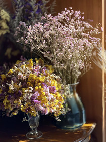 Salee Boutique Hotel