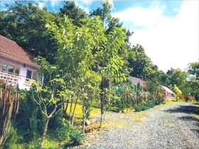 Sankampang Hot Spring Hill