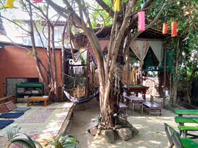 SDT Home