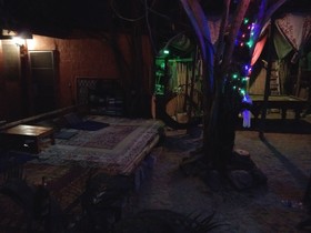 SDT Home