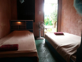 SDT Home