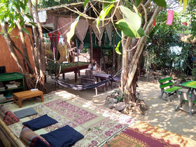 SDT Home