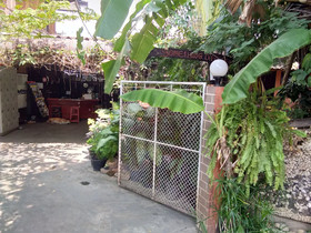 SDT Home