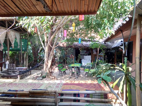 SDT Home