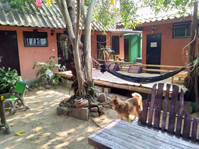 SDT Home