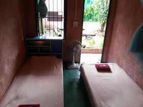 SDT Home