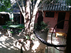 SDT Home