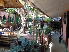 SDT Home