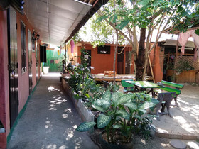 SDT Home