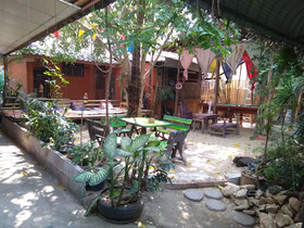 SDT Home