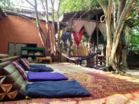 SDT Home