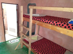 SDT Home